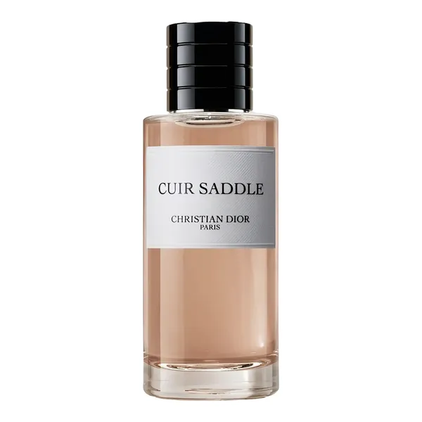 Christian Dior Cuir Saddle