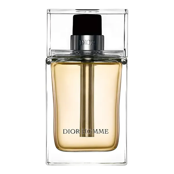 Christian Dior Homme 2025
