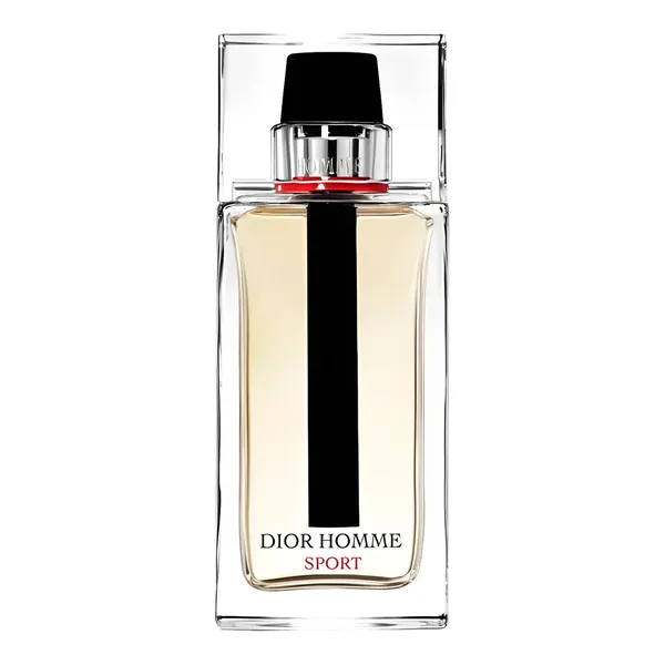 Christian Dior Homme Sport 2017