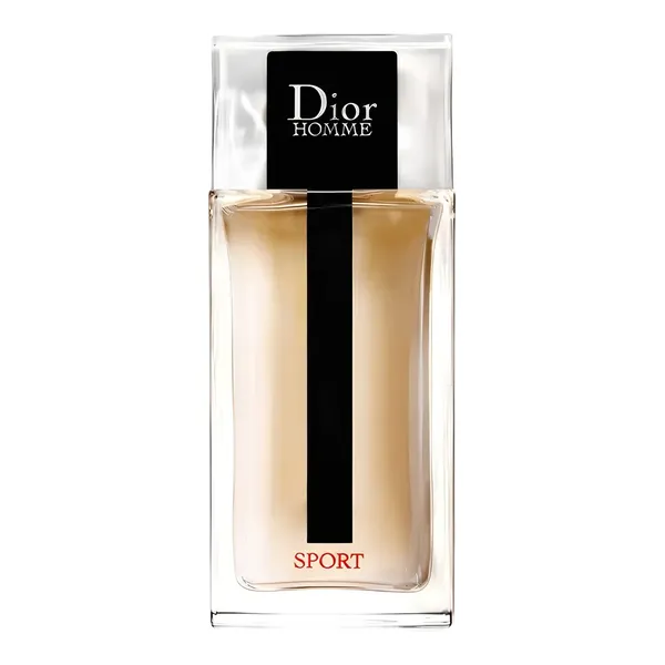 Christian Dior Homme Sport 2021