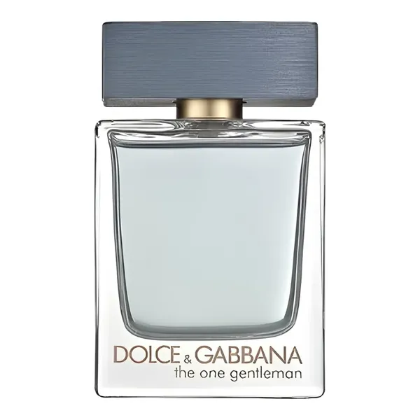 Dolce & Gabbana The One Gentleman