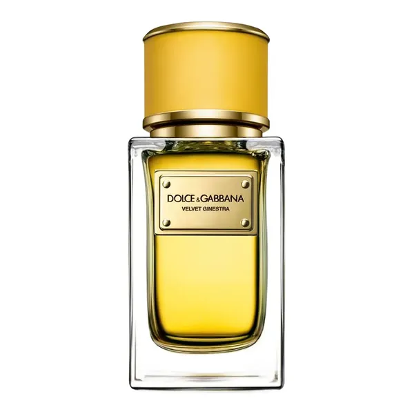 Dolce & Gabbana Velvet Ginestra