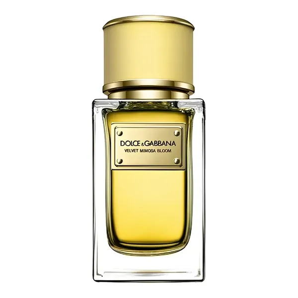 Dolce & Gabbana Velvet Mimosa Bloom