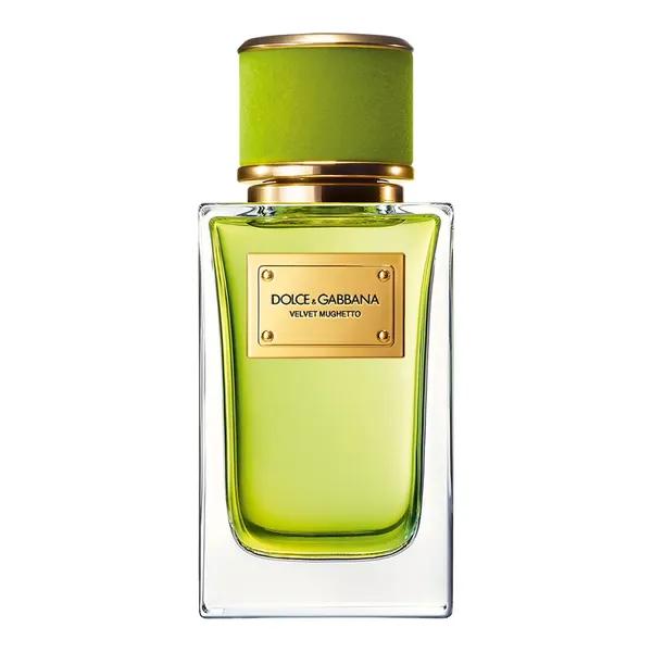 Dolce & Gabbana Velvet Mughetto