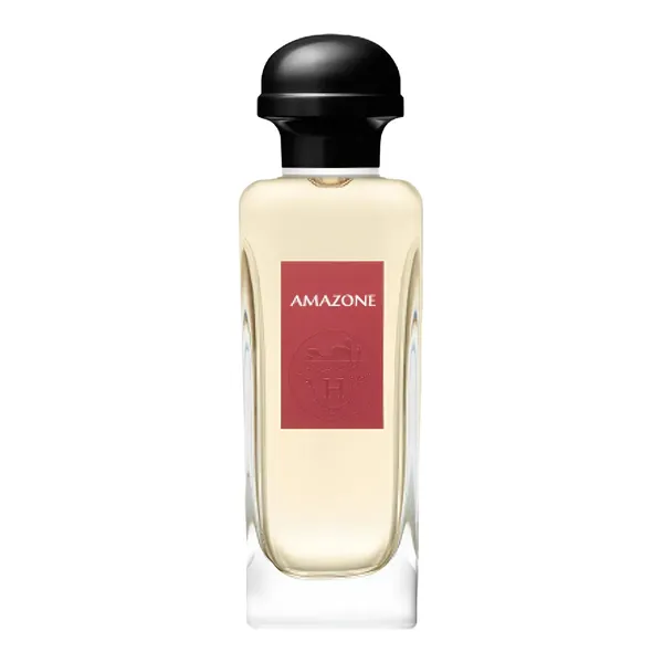 Hermes Amazone 2017