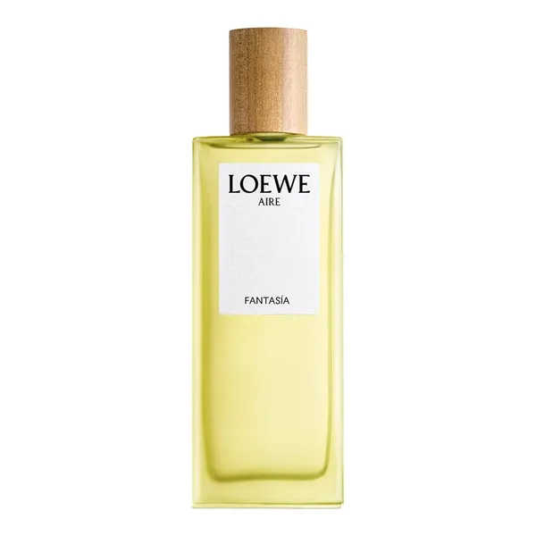 Loewe Aire Fantasia