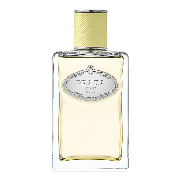 Prada Infusion De Gingembre