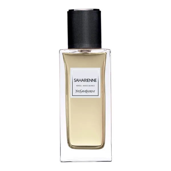 Yves Saint Laurent Saharienne 2015