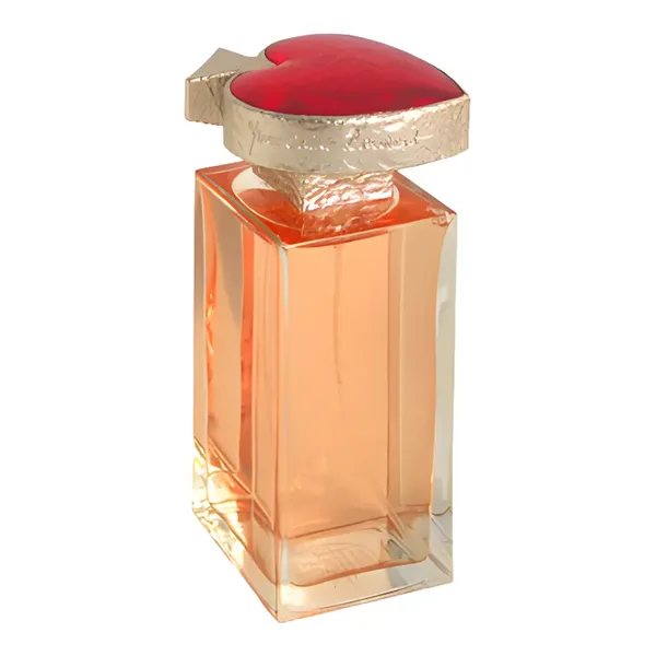 Yves Saint Laurent Vice Versa